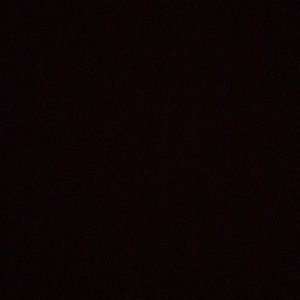 Meet your Posher, Lizbeth